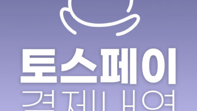 토스 결제 내역