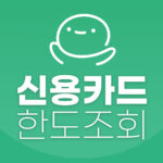신용카드 한도조회