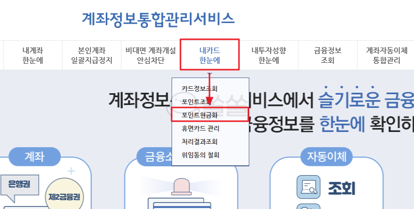 어카운트 인포