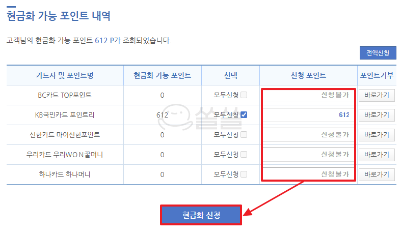 현금화 가능 포인트 내역