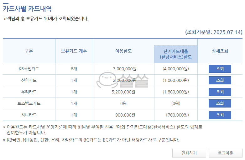 카드사별 카드 내역